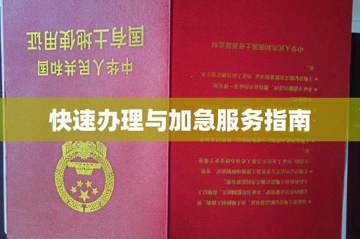九台快速办理与加急服务指南